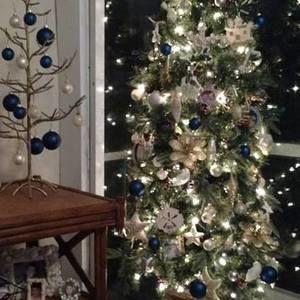 Meet your Posher, Carol